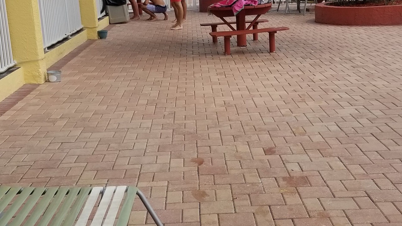 Photo of Others in North Redington Beach