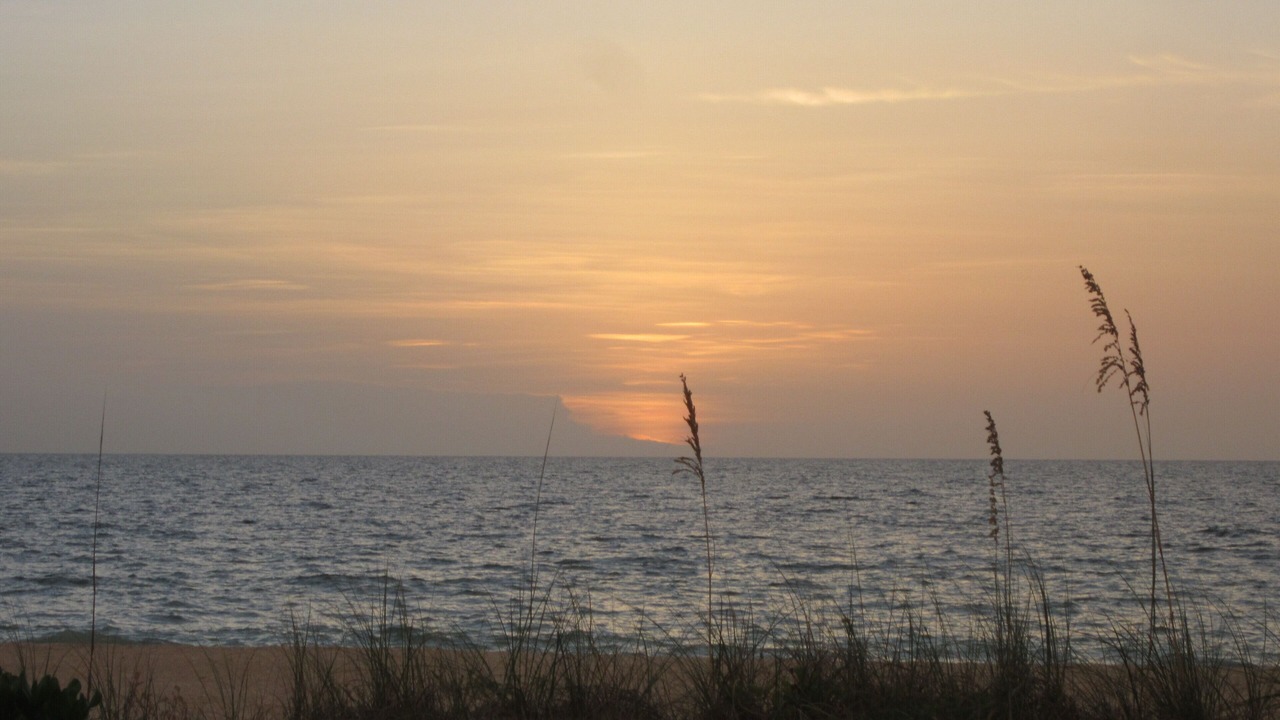 Photo of Others in Belleair Beach