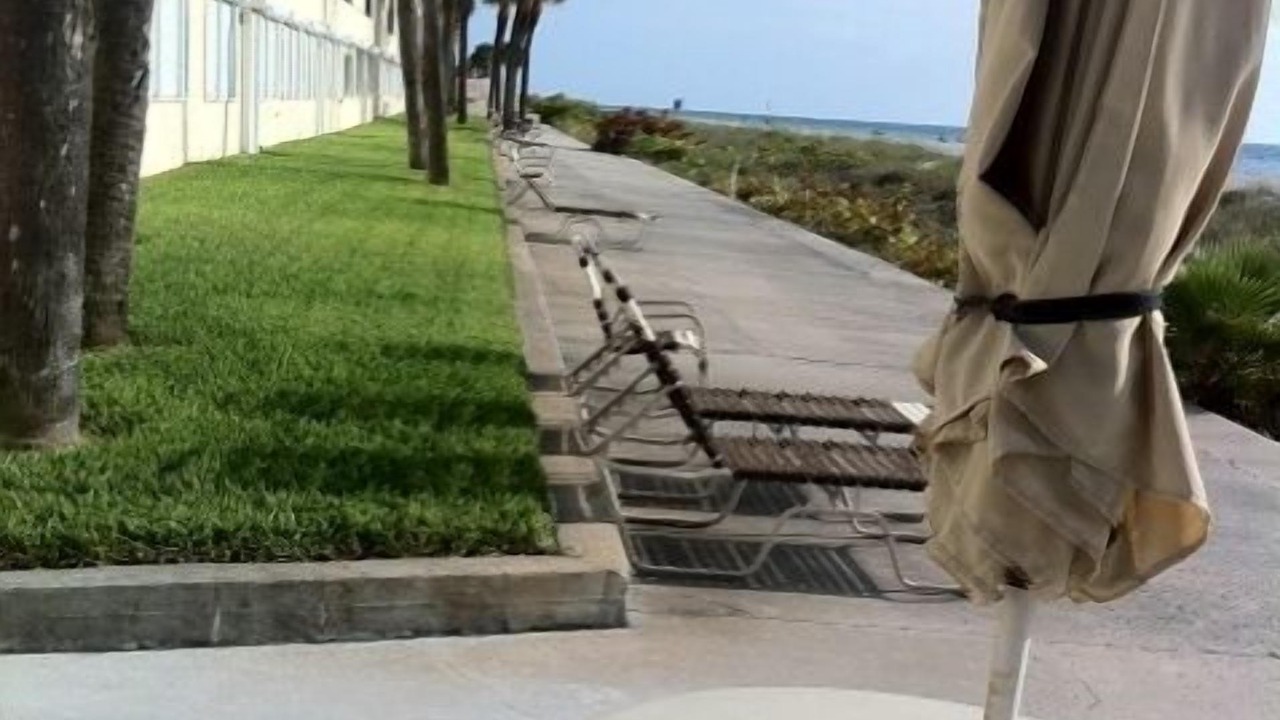 Photo of Outdoor in Belleair Beach