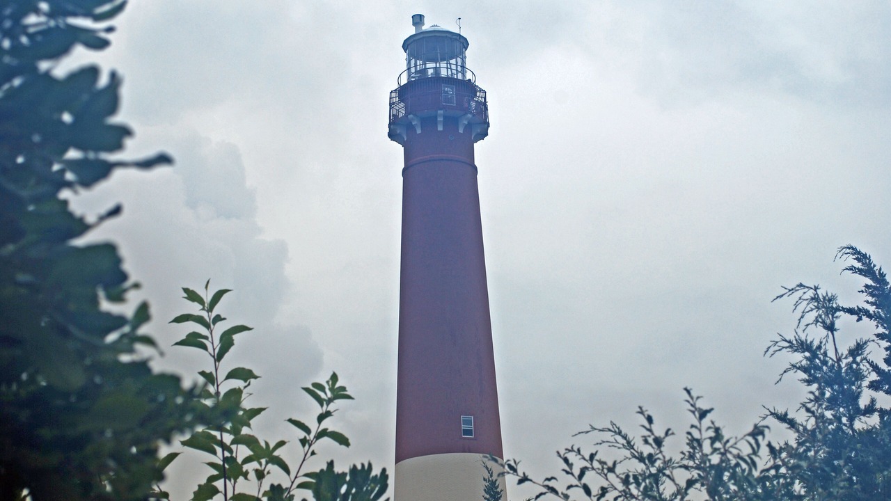 Photo of Others in South Beach Haven