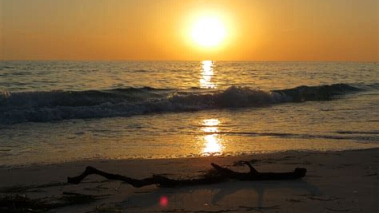Photo of Others in Bradenton Beach