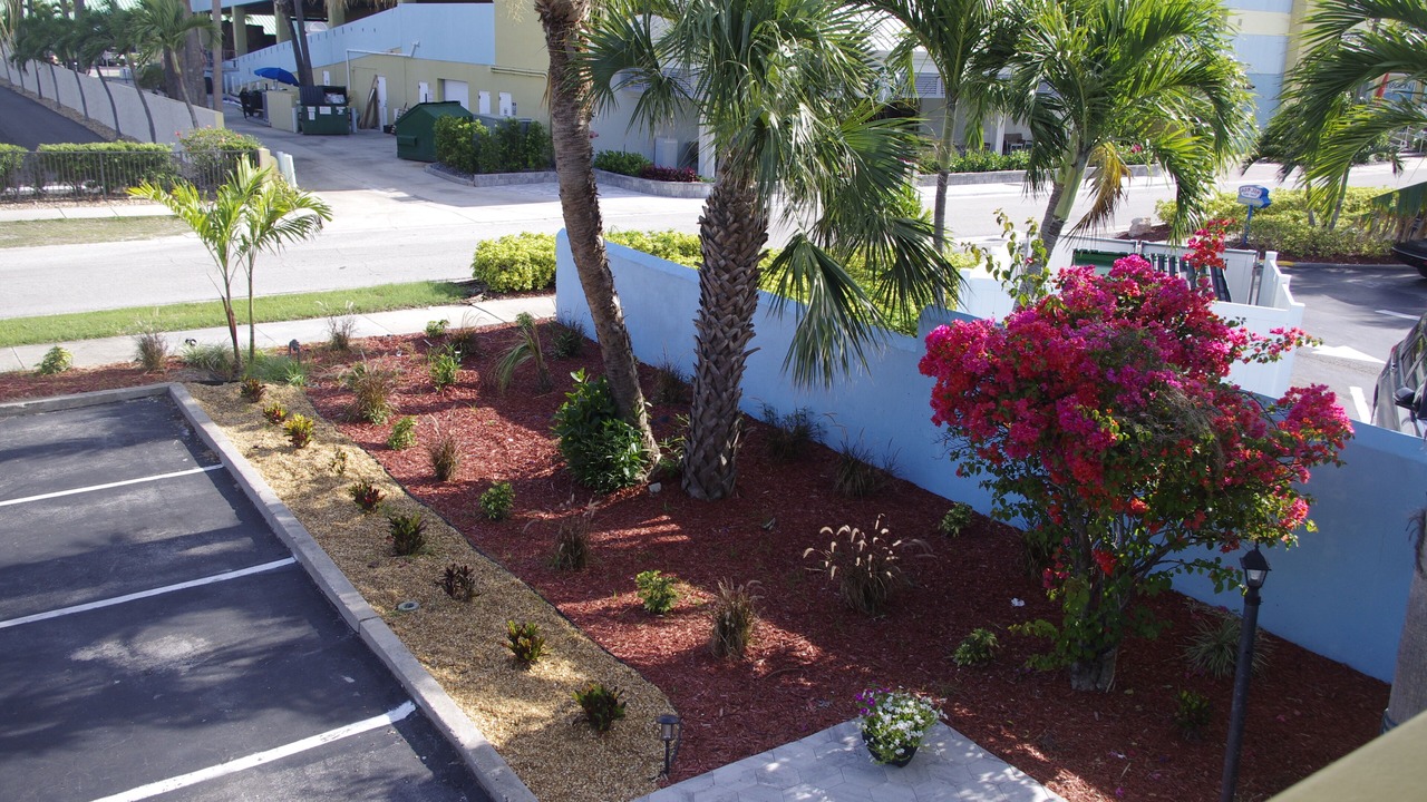 Photo of Outdoor in Cocoa Beach