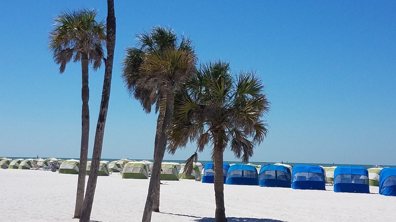 Photo of Others in Clearwater Beach