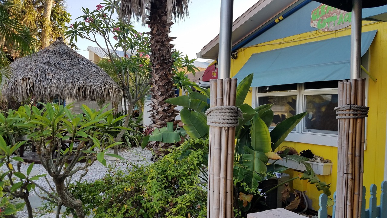 Photo of Others in Clearwater Beach