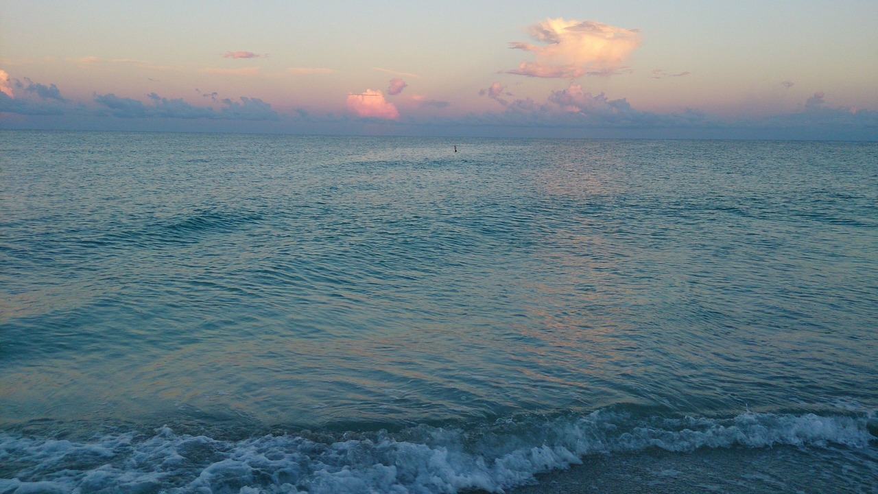 Photo of Others in South Bradenton