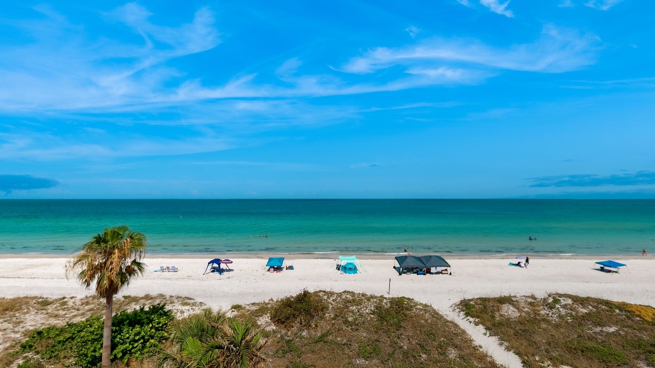 Photo of Others in Indian Rocks Beach