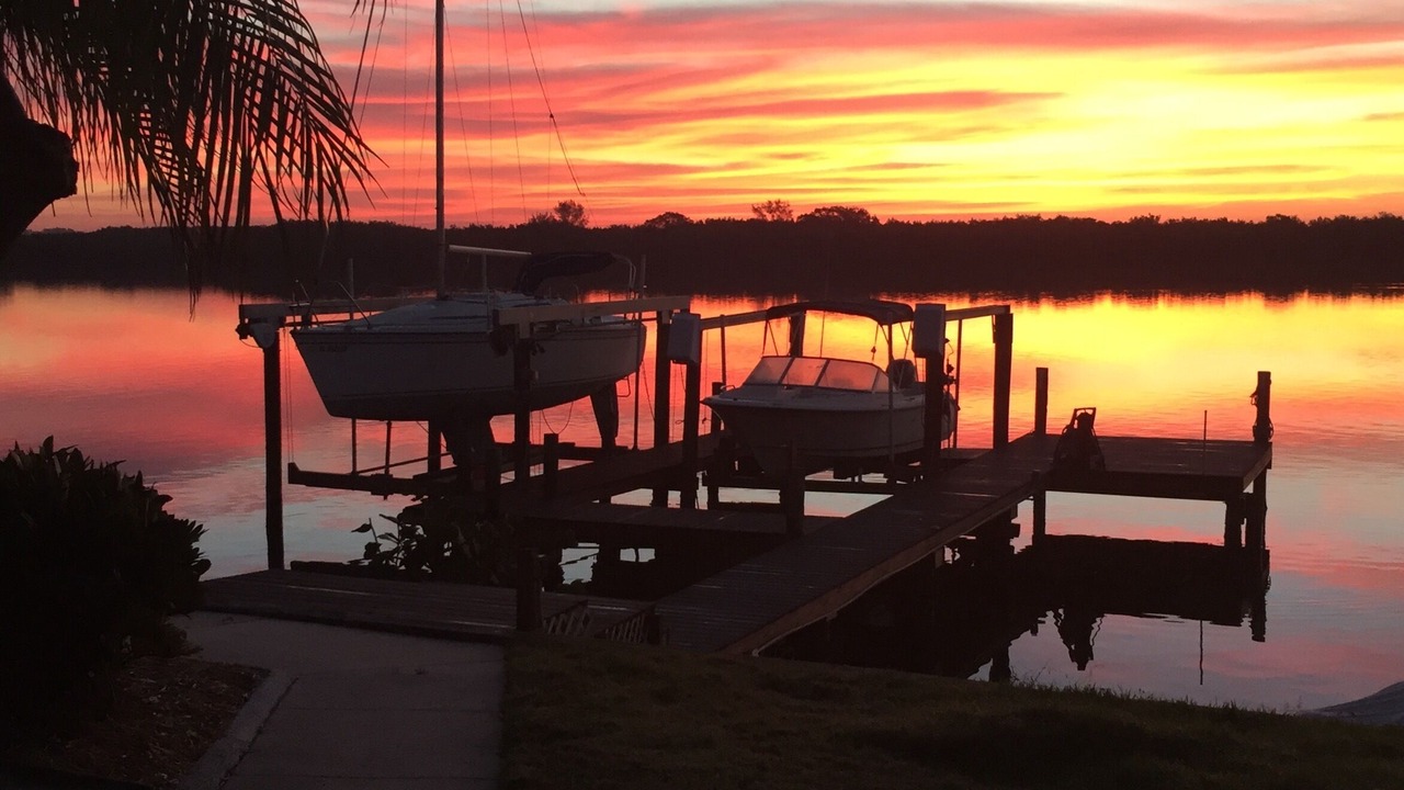 Photo of Others in Apollo Beach