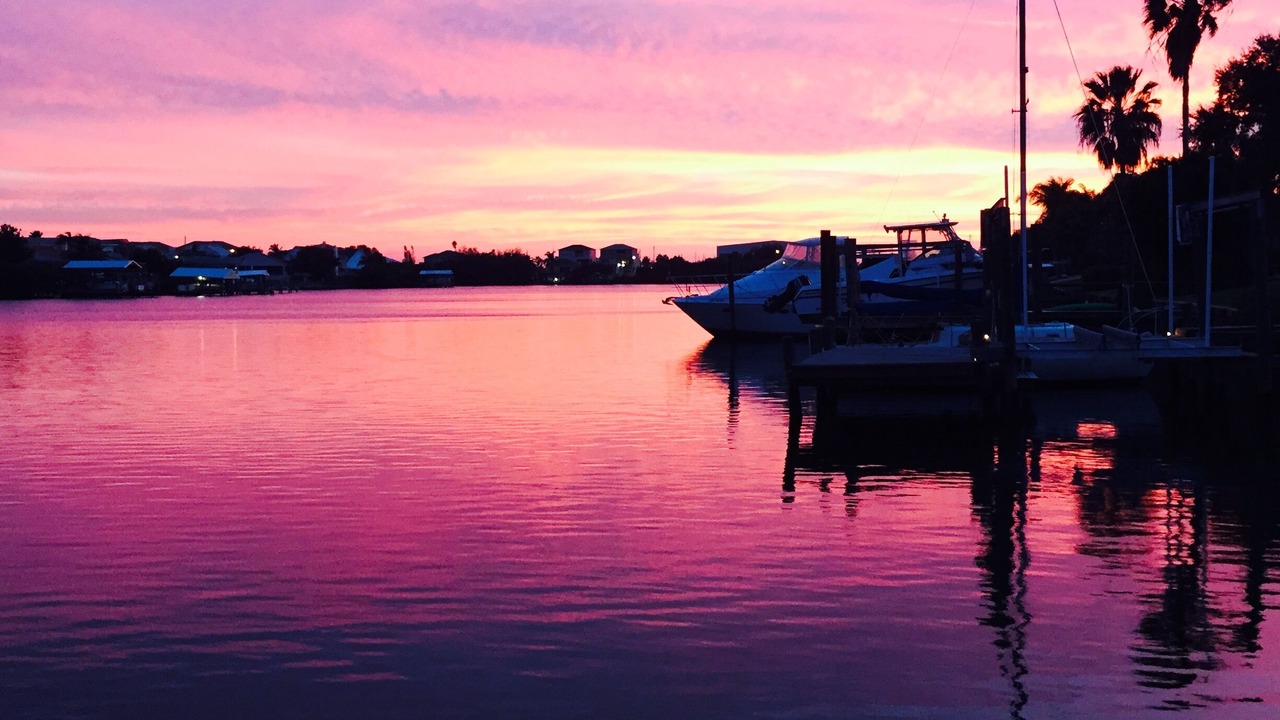 Photo of Outdoor in Apollo Beach