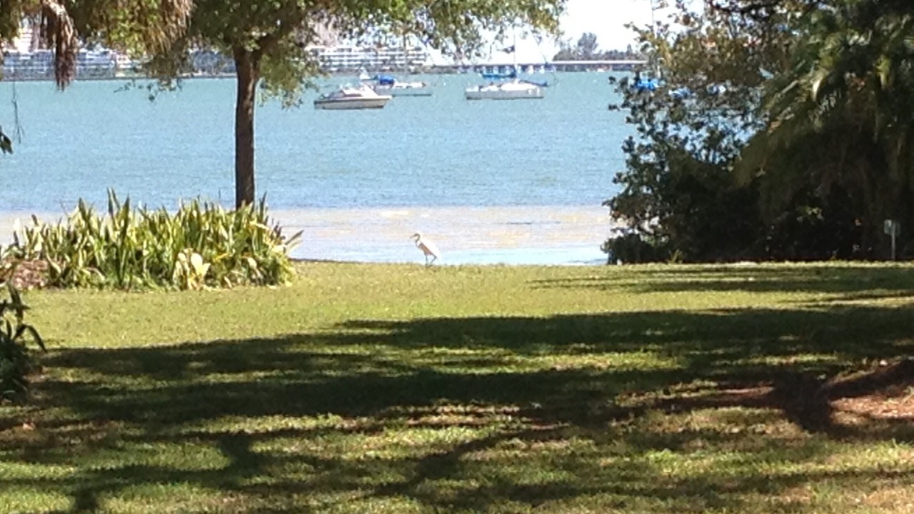 Photo of Others in Gulfport