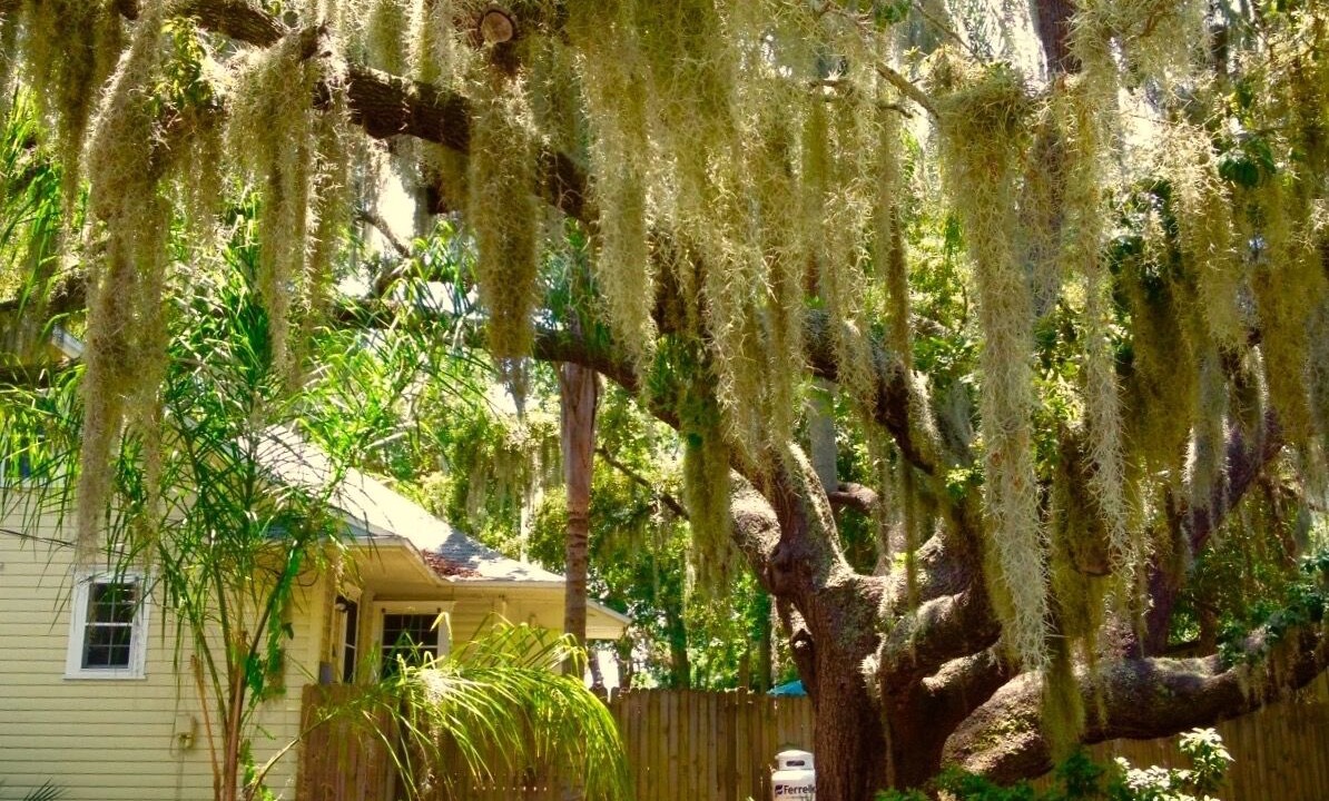 Photo of Outdoor in Gulfport