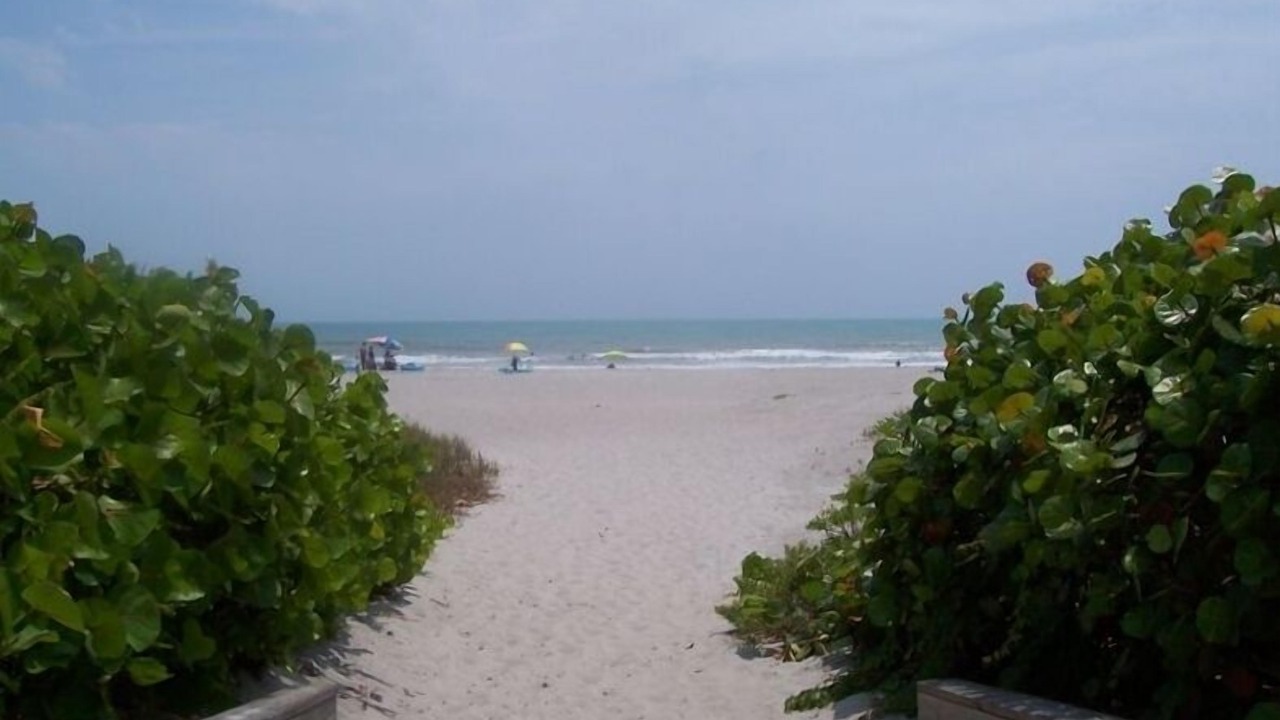 Photo of Others in Cocoa Beach