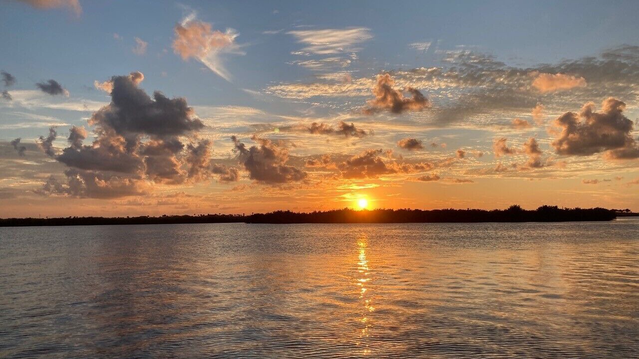 Photo of Others in New Smyrna Beach