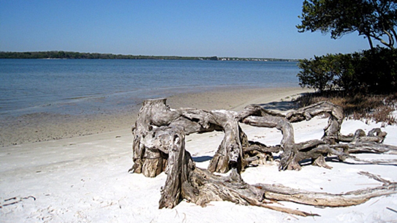 Photo of Others in Oldsmar