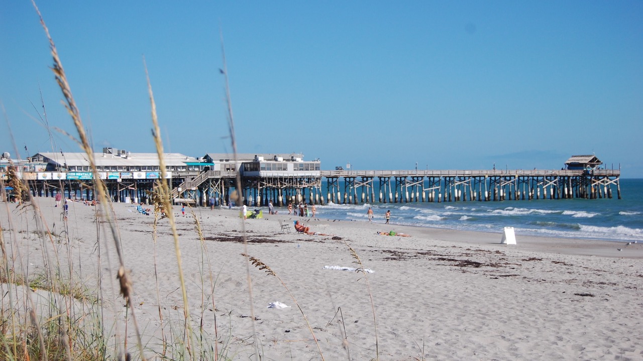 Photo of Others in Avon By The Sea