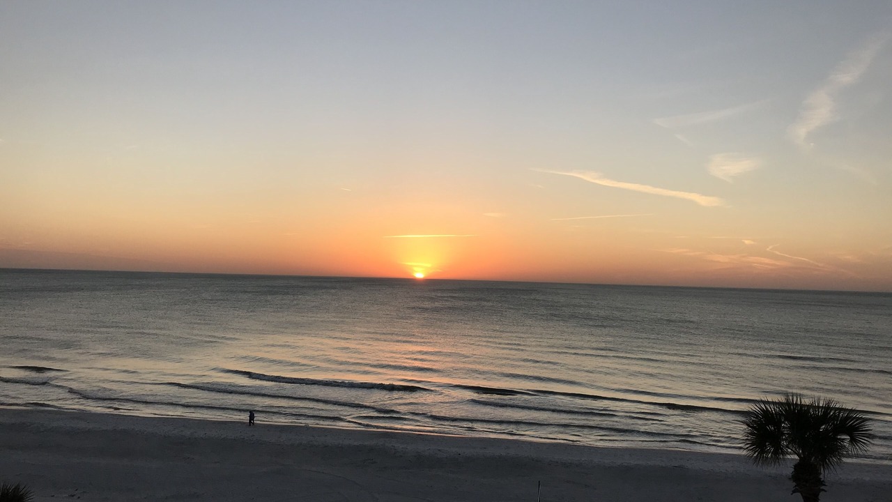 Photo of Others in Indian Shores