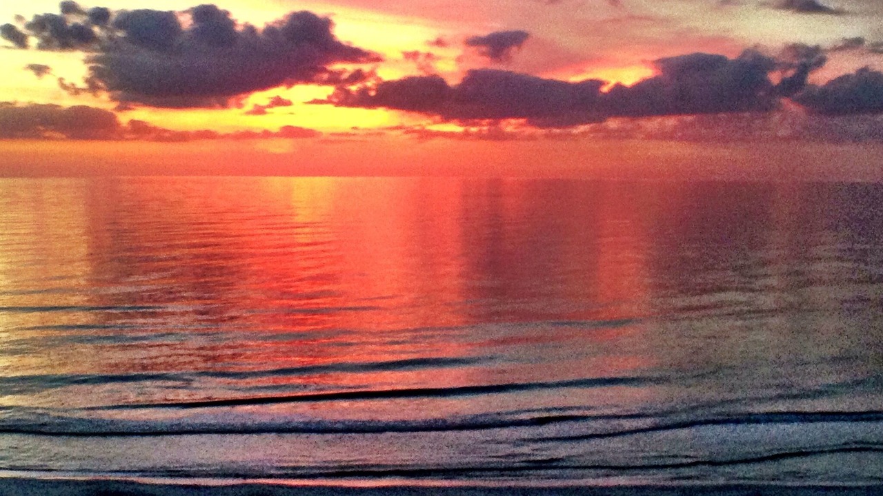 Photo of Others in Indian Shores