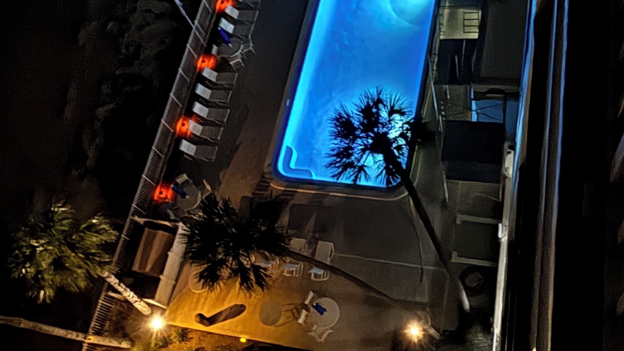 Photo of Outdoor in Indian Shores