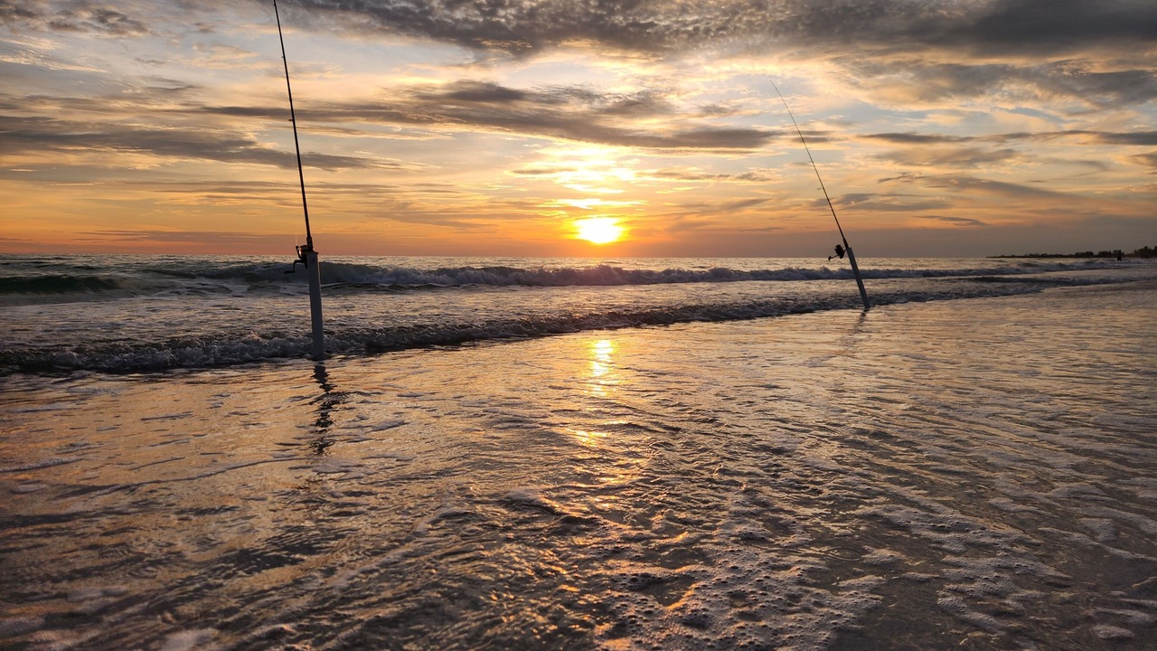 Photo of Others in Longboat Key