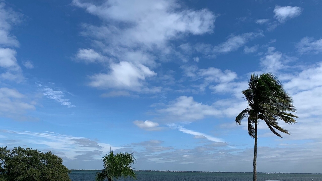 Photo of Others in Whitney Beach