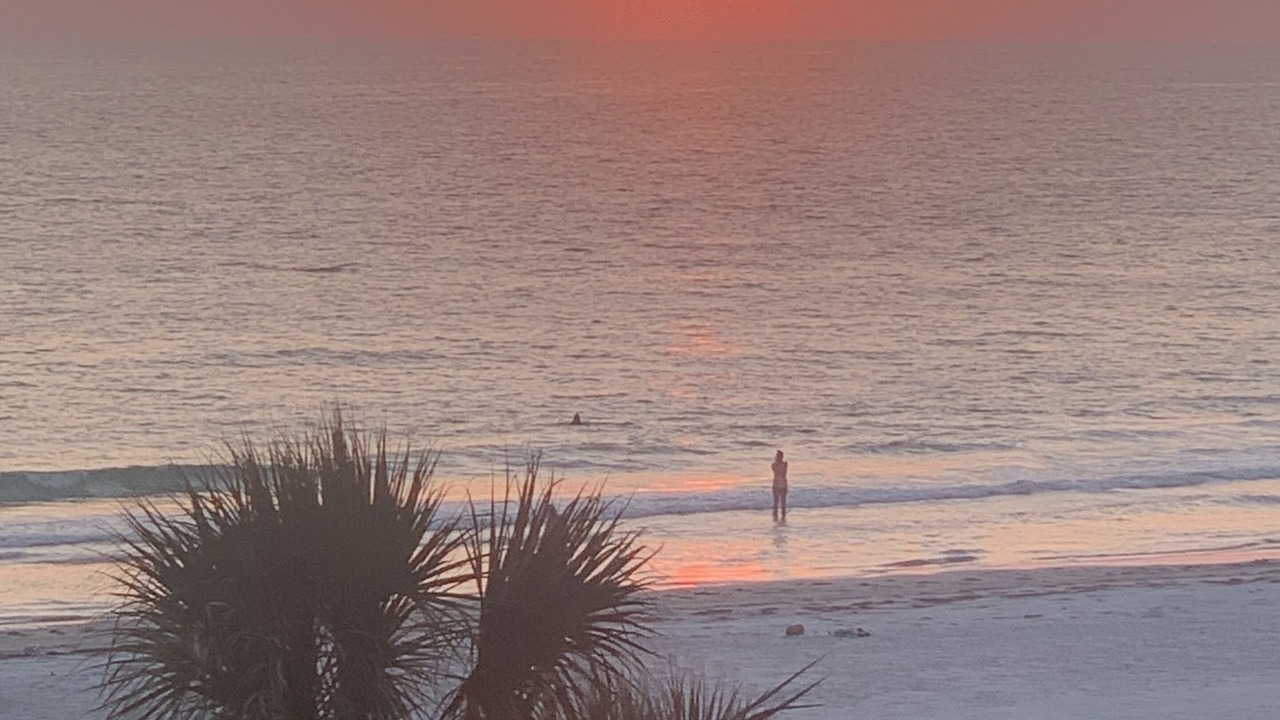 Photo of Others in Redington Shores