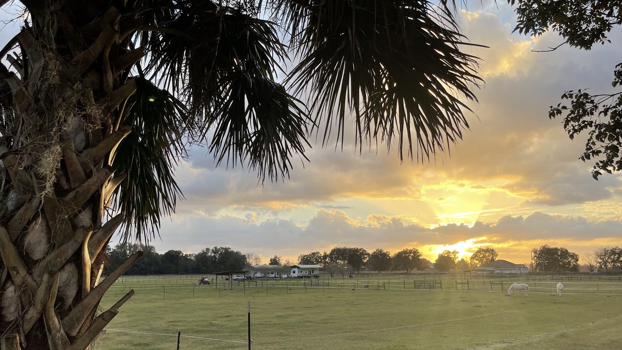 Photo of Outdoor in Fellowship