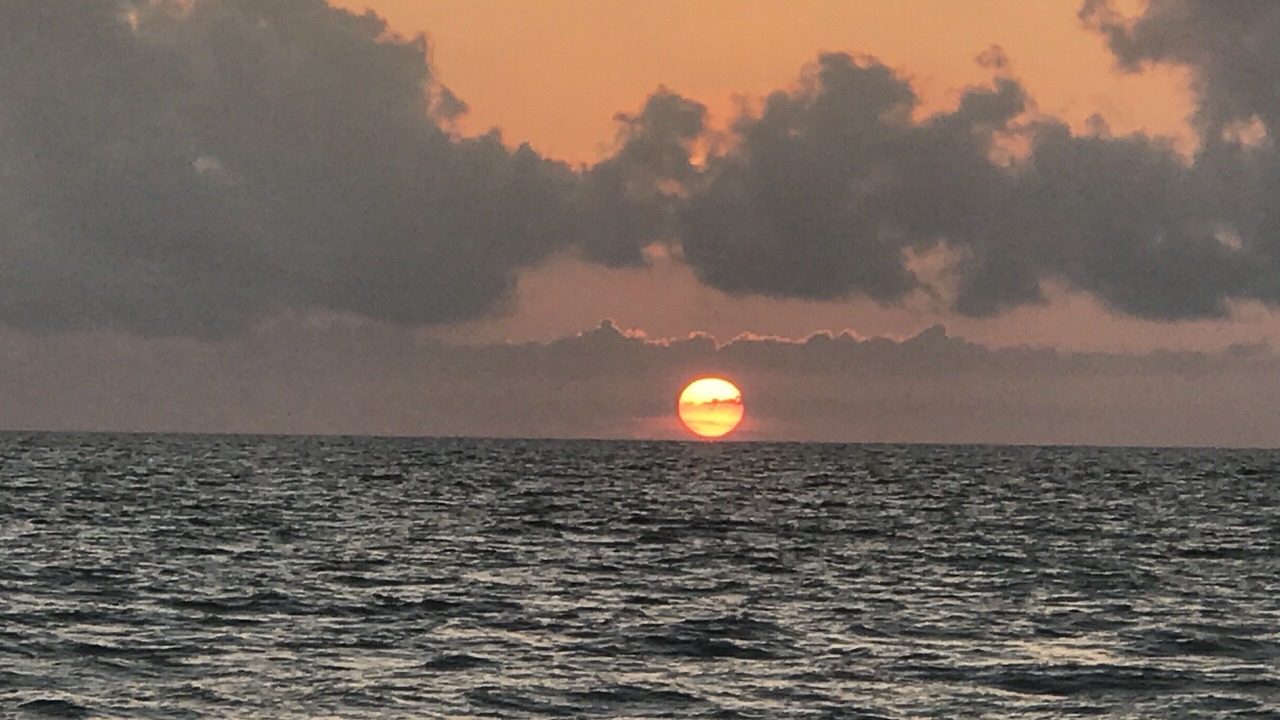 Photo of Others in Indian Rocks Beach