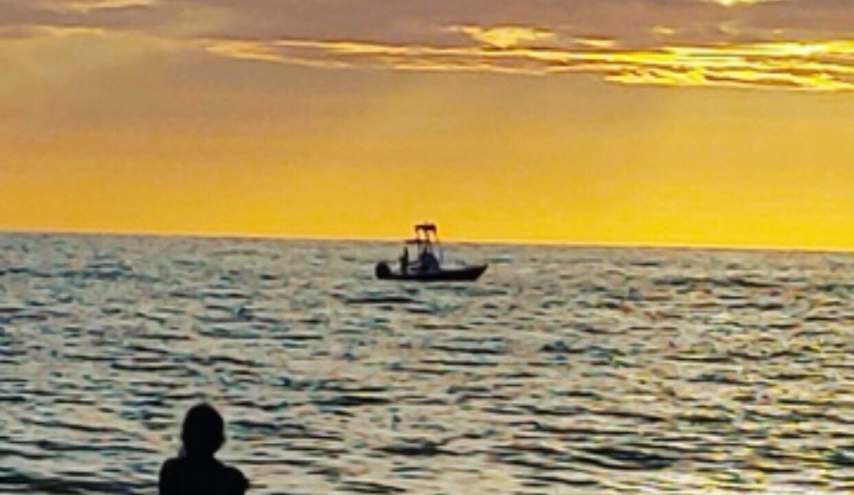 Photo of Others in Indian Rocks Beach