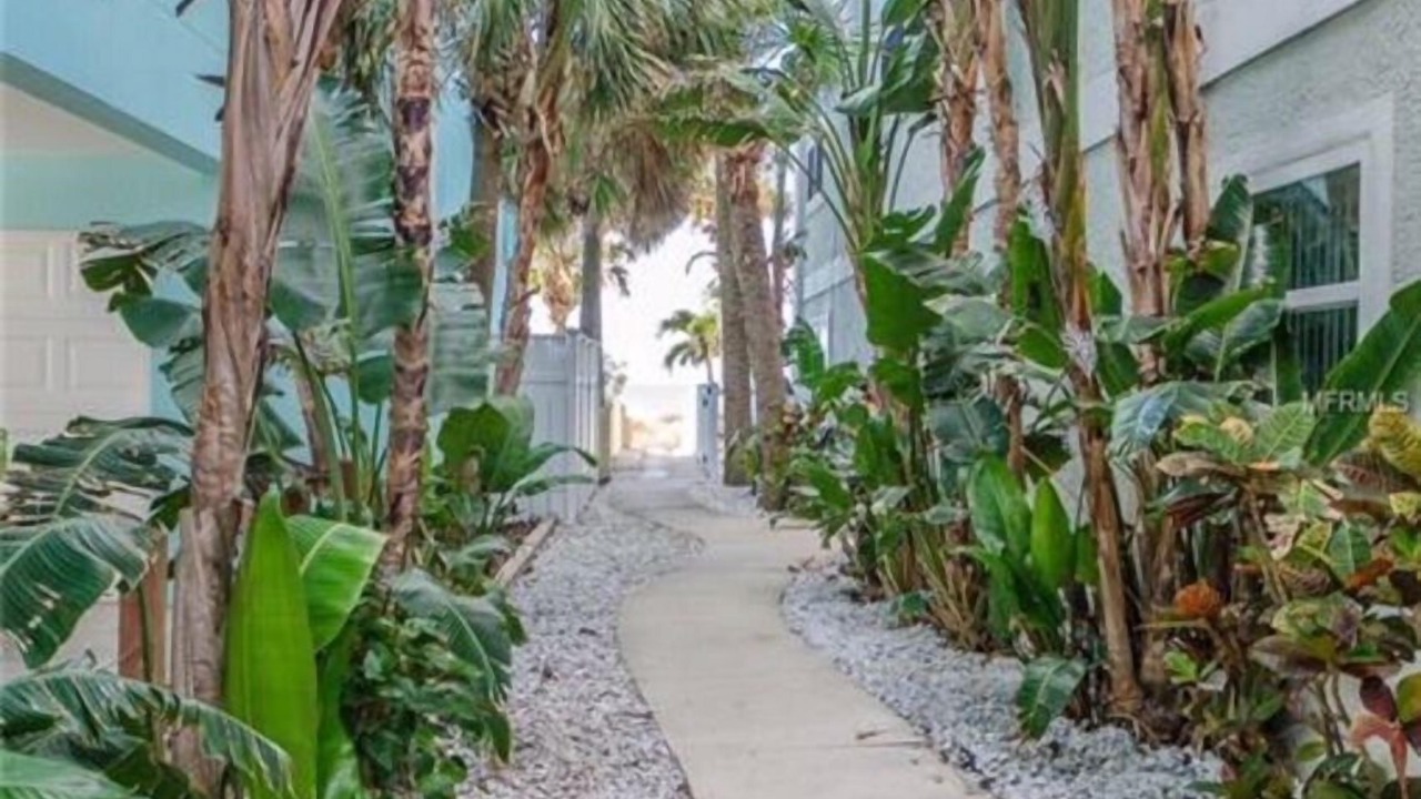 Photo of Others in Indian Rocks Beach