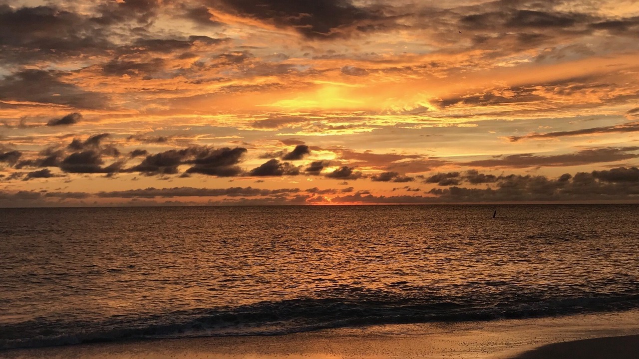 Photo of Others in Indian Rocks Beach