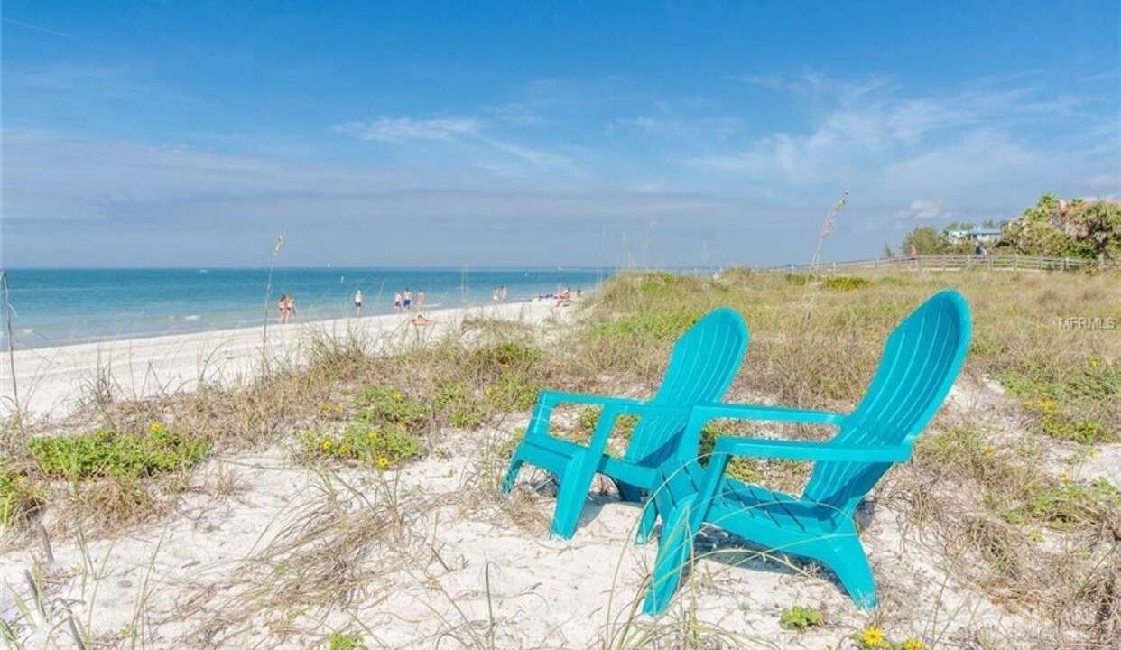 Photo of Others in Indian Rocks Beach