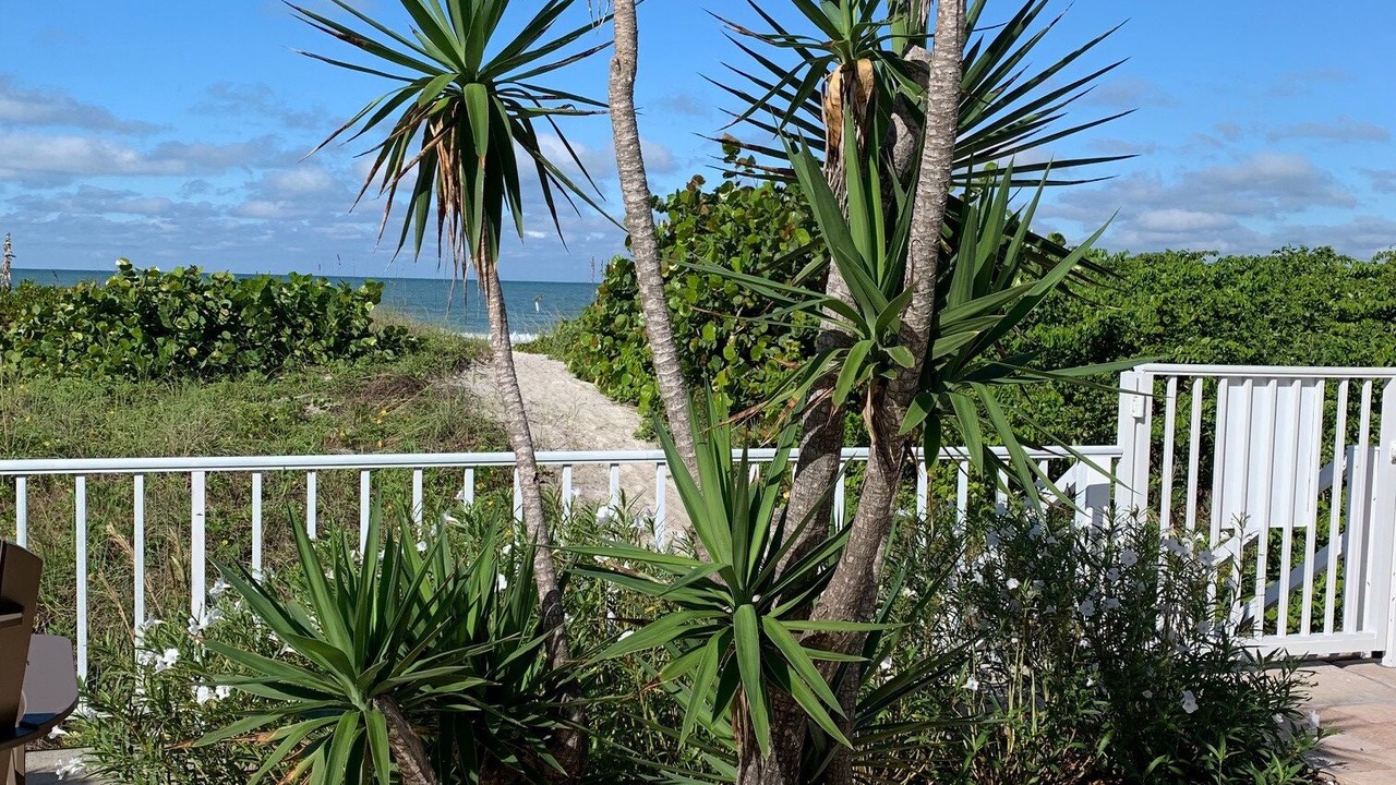 Photo of Others in Indian Rocks Beach