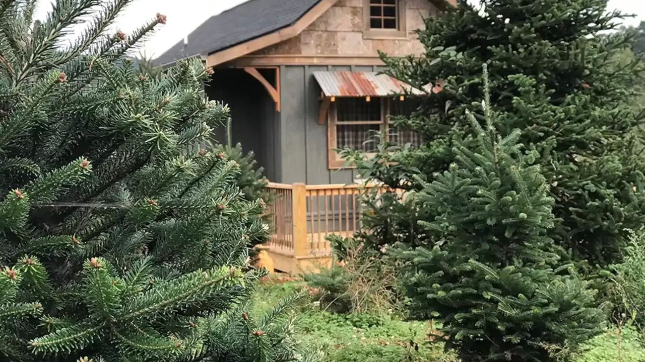 Photo of Outdoor in Waynesville