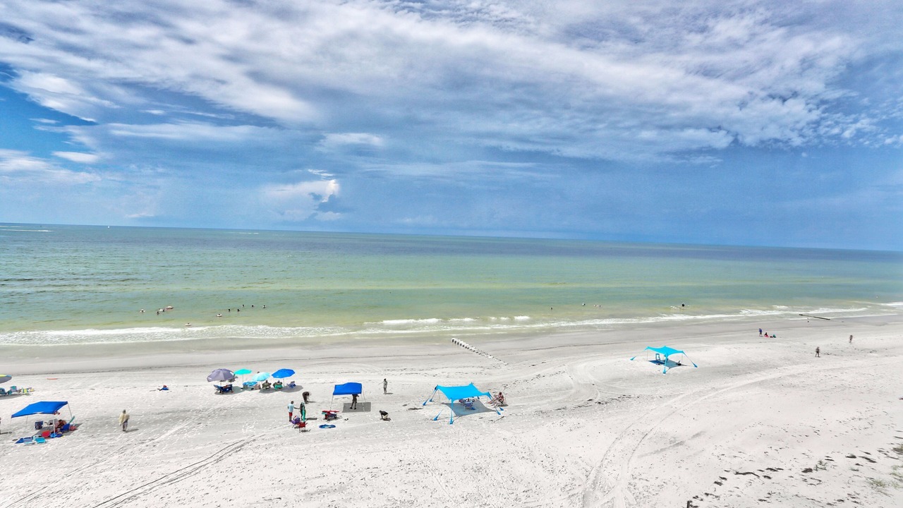 Photo of Others in Madeira Beach