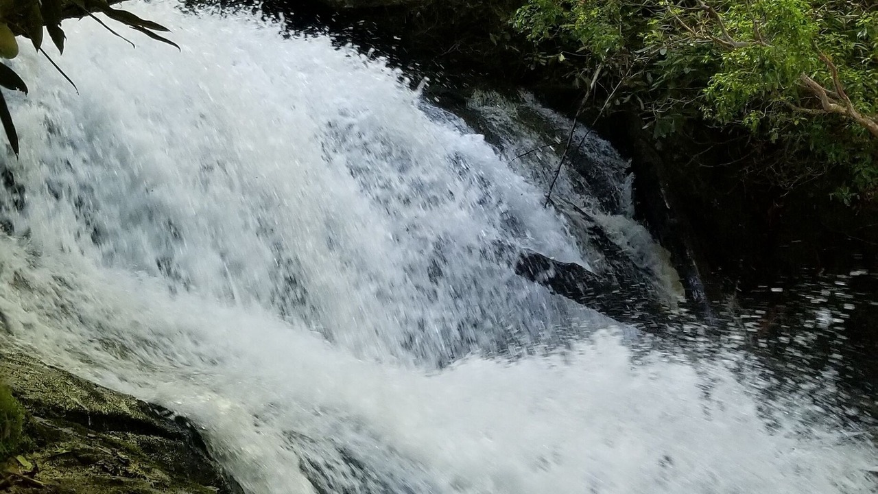 Photo of Outdoor in Topton