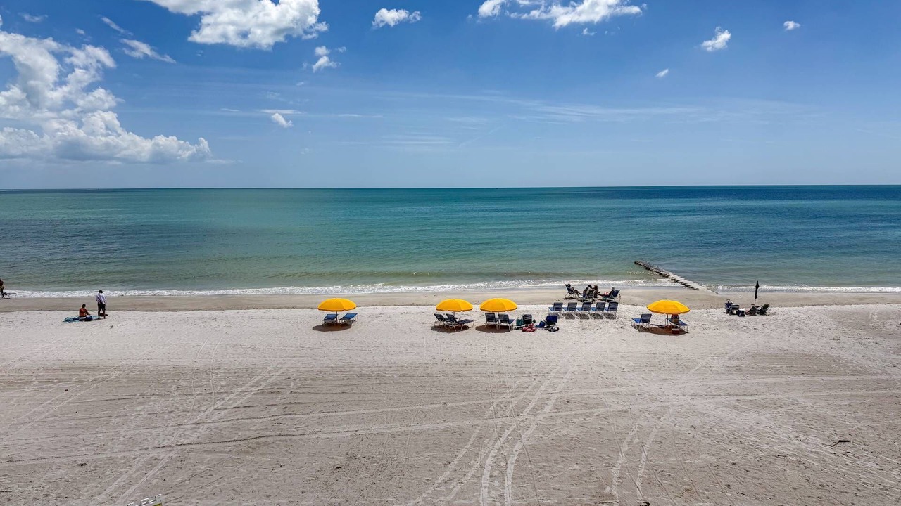 Photo of Others in Madeira Beach