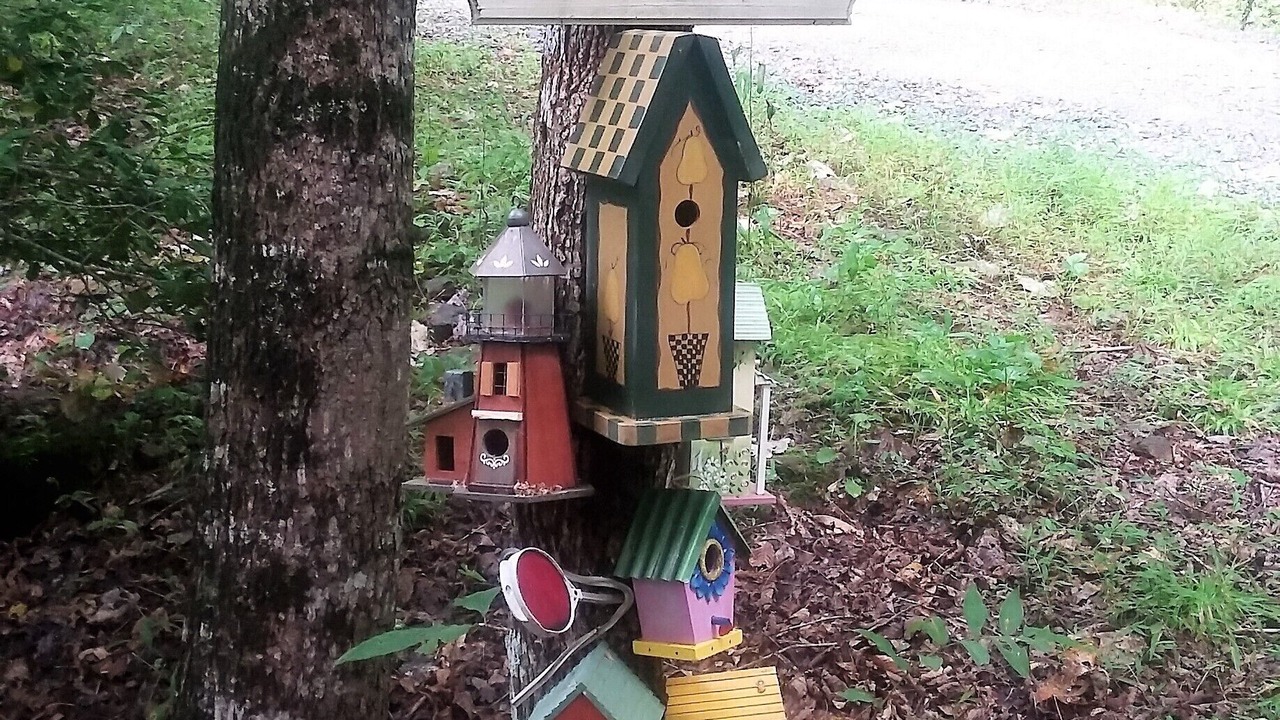 Photo of Others in Hiawassee