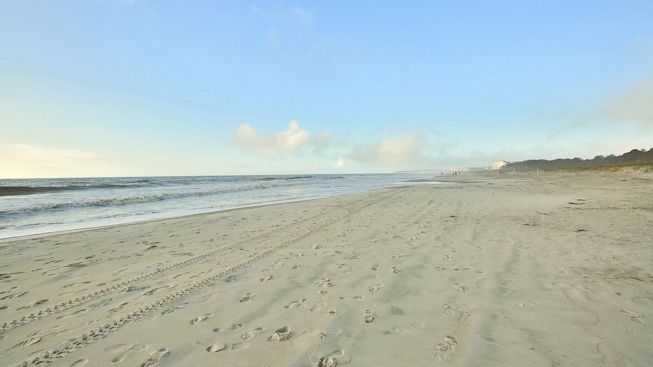 Photo of Others in Folly Field