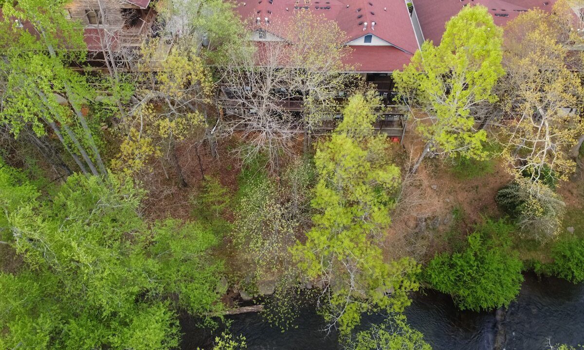 Photo of Outdoor in Helen
