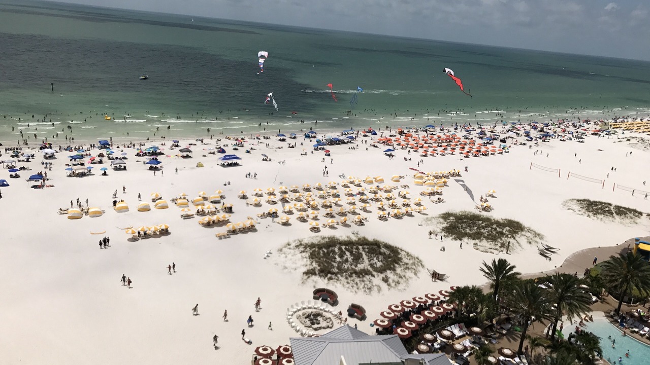 Photo of Others in Clearwater Beach