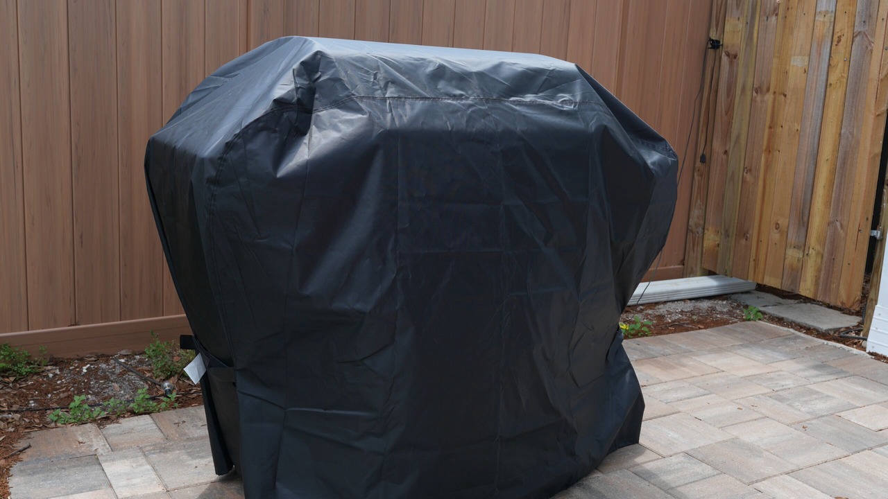 Photo of Outdoor in Oldsmar