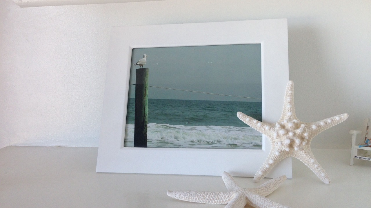 Photo of Others in South Rehoboth