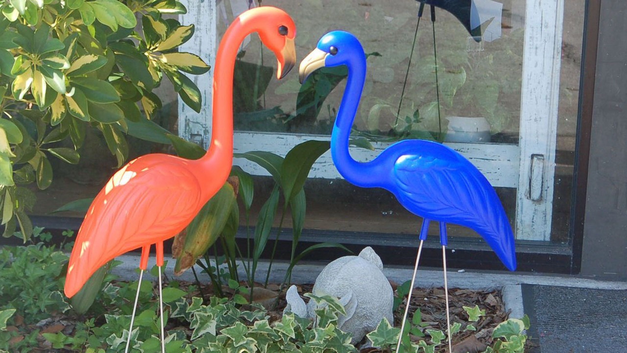 Photo of Outdoor in Gainesville