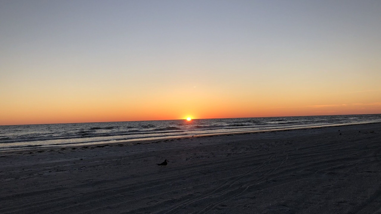 Photo of Others in Indian Shores