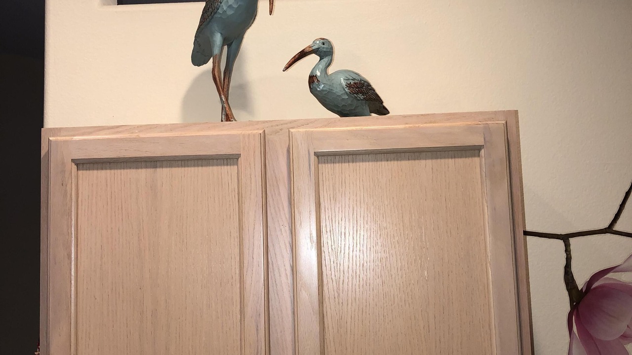 Photo of Others in Greater Groves