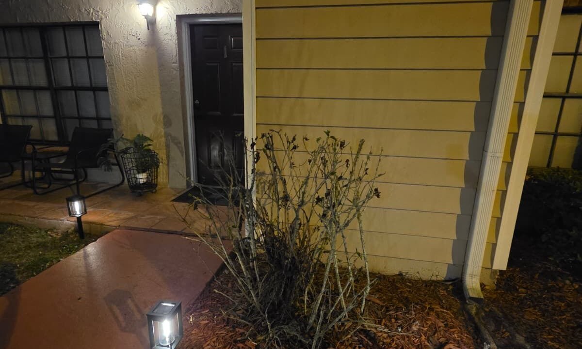 Photo of Outdoor in Land O' Lakes