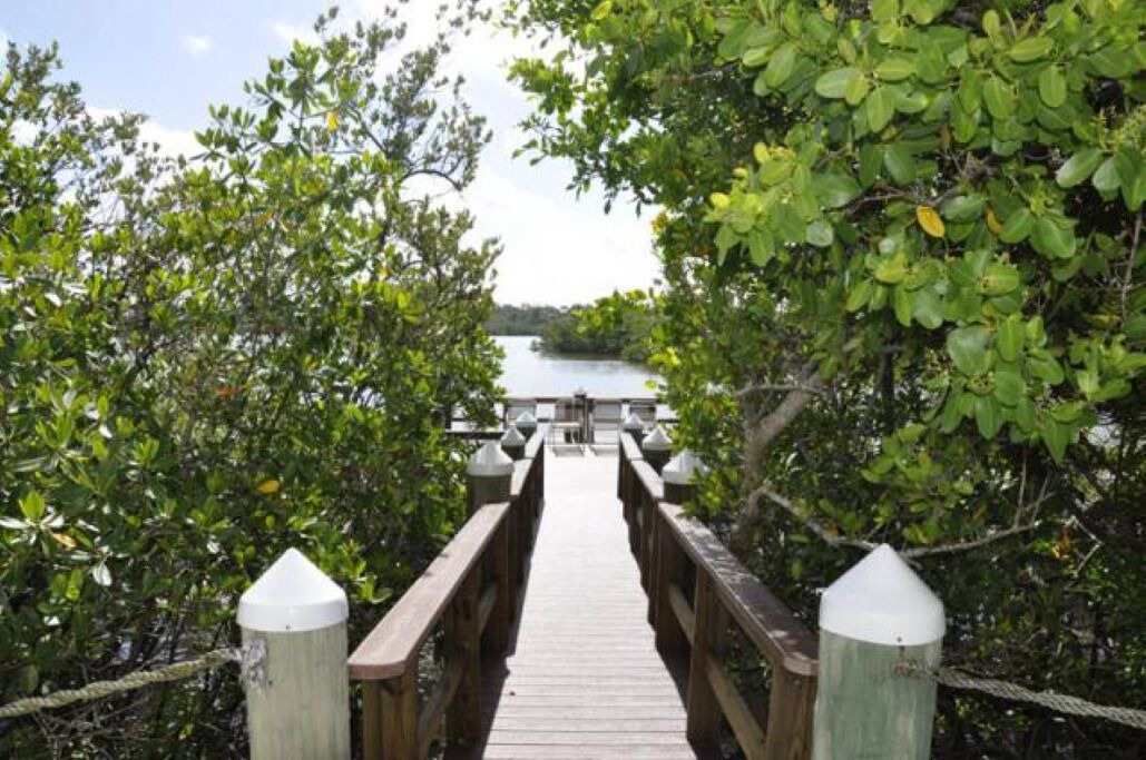 Photo of Outdoor in Indian Shores
