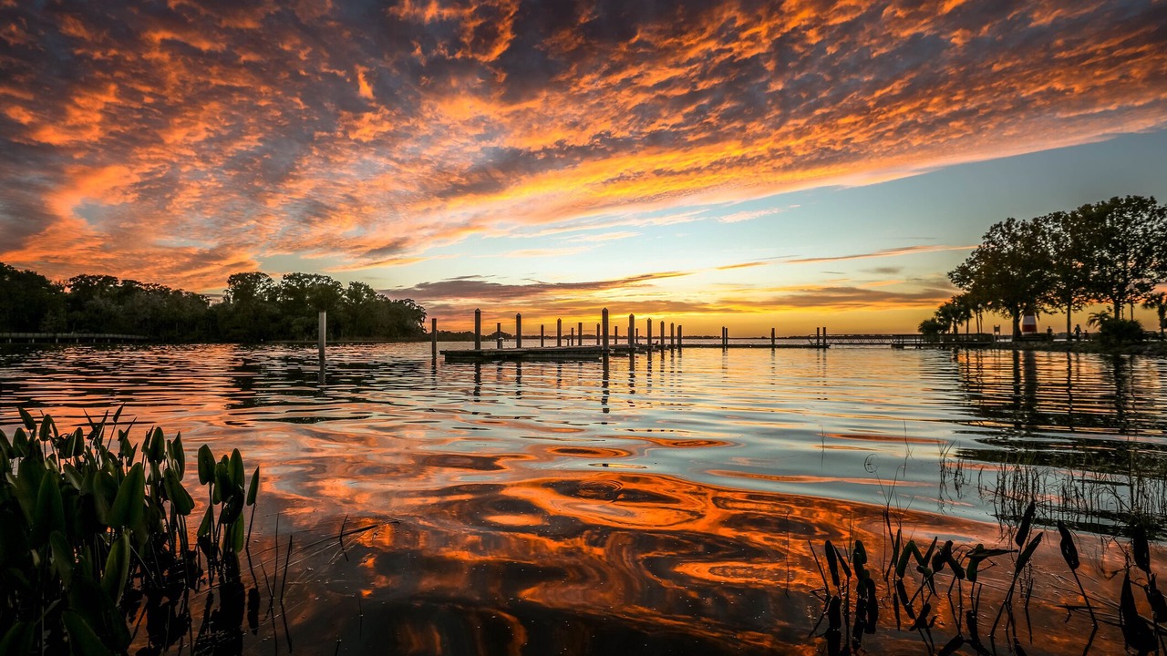 Photo of Outdoor in Mount Dora