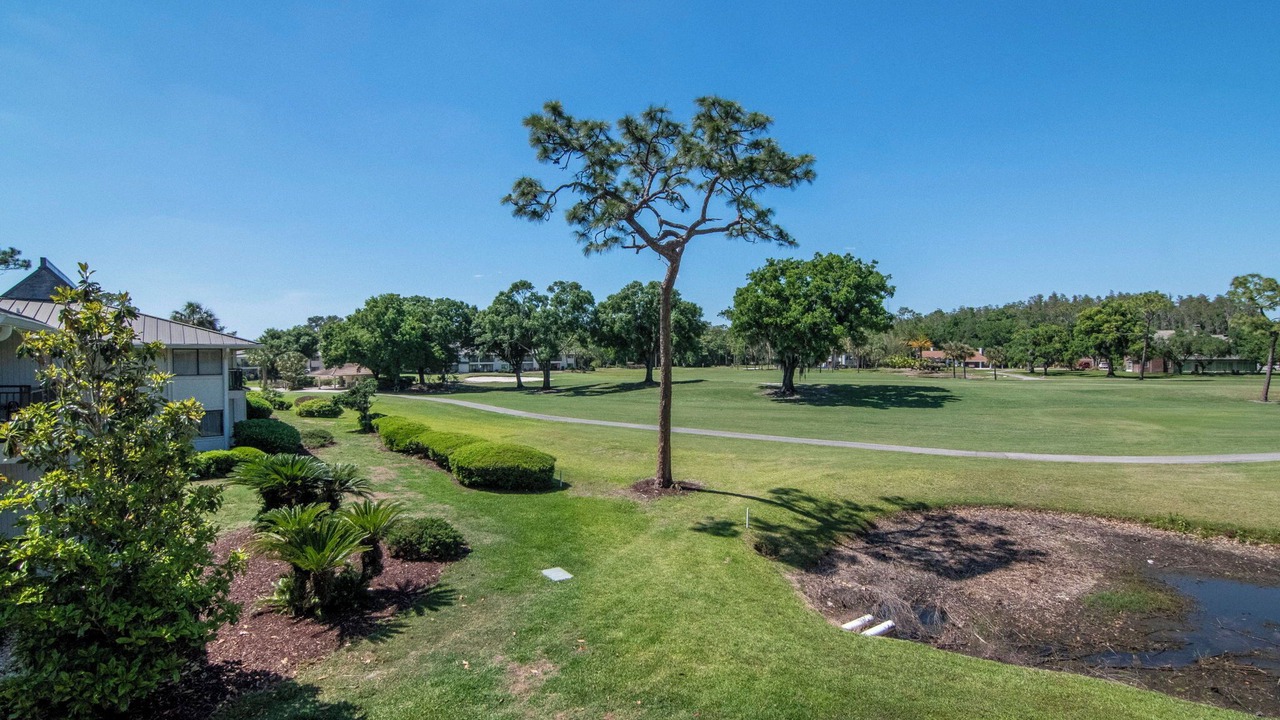 Photo of Outdoor in Wesley Chapel