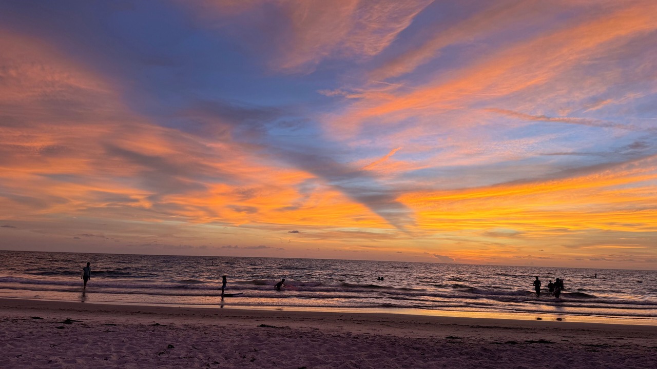 Photo of Others in Indian Rocks Beach