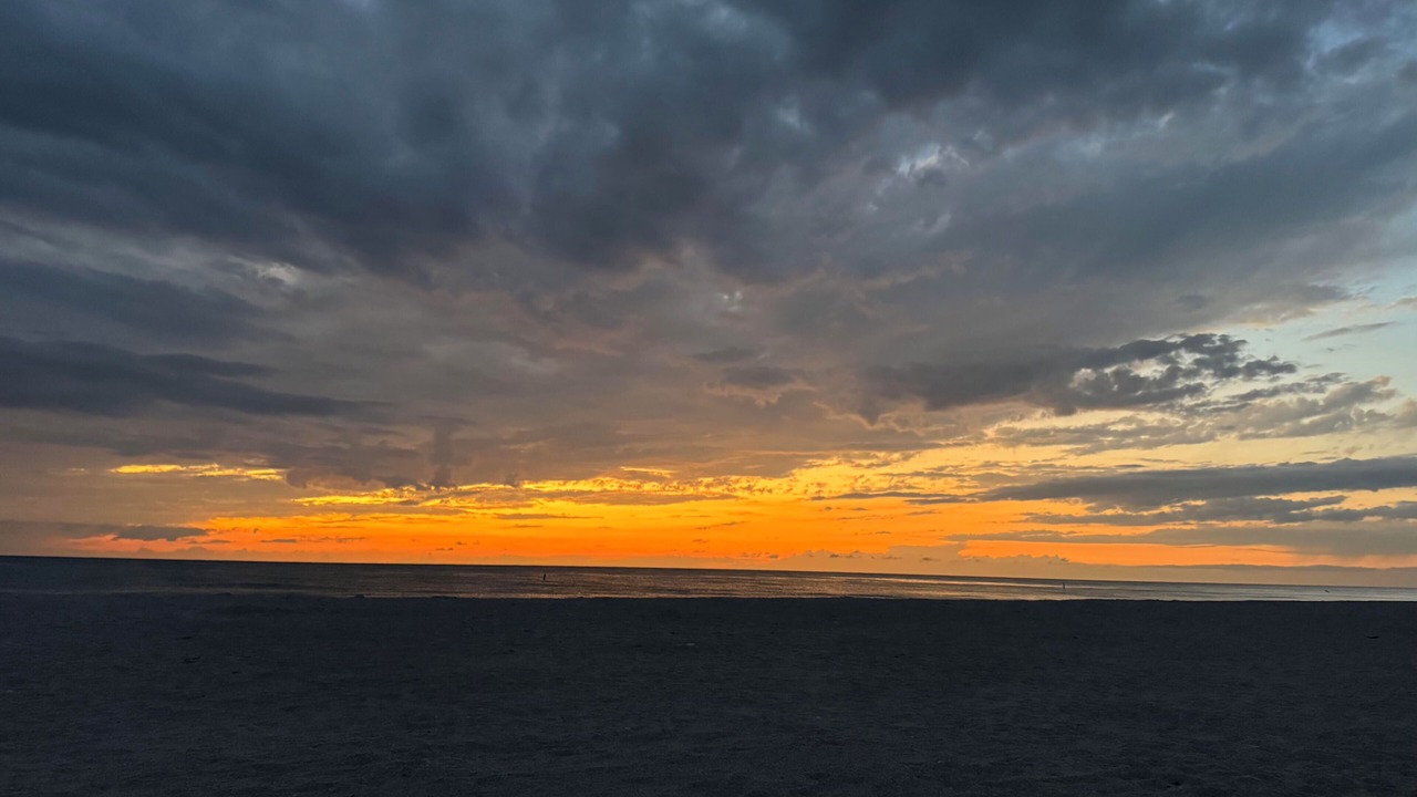 Photo of Others in Indian Rocks Beach